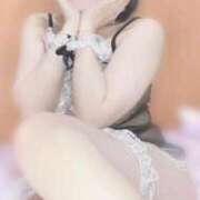 ヒメ日記 2025/08/11 10:19 投稿 ちわわ ウルトラドリーム