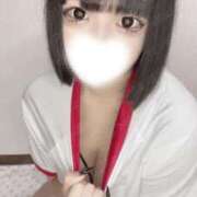 ヒメ日記 2025/08/12 01:09 投稿 ちわわ ウルトラドリーム