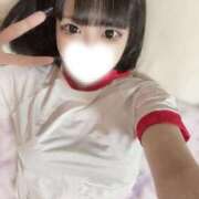 ヒメ日記 2025/08/12 17:49 投稿 ちわわ ウルトラドリーム