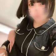 ヒメ日記 2025/08/12 20:19 投稿 ちわわ ウルトラドリーム