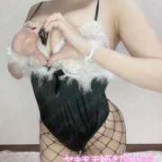 ヒメ日記 2025/08/13 06:19 投稿 ちわわ ウルトラドリーム