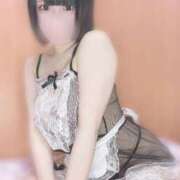 ヒメ日記 2025/08/18 18:29 投稿 ちわわ ウルトラドリーム