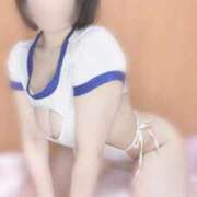 ヒメ日記 2025/08/25 21:49 投稿 ちわわ ウルトラドリーム