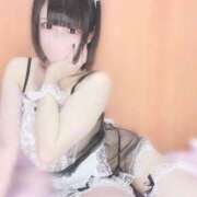 ヒメ日記 2025/08/28 01:59 投稿 ちわわ ウルトラドリーム