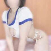 ヒメ日記 2025/09/18 20:39 投稿 ちわわ ウルトラドリーム