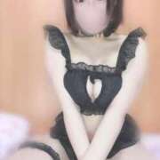 ちわわ たくさんえ●ちしよー♡ ウルトラドリーム