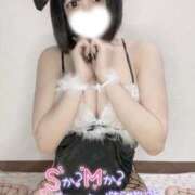 ちわわ 登校！ ウルトラドリーム