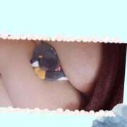 みとこ ガ チ 勢 宮崎ちゃんこ中央通店