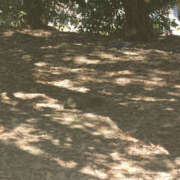 ヒメ日記 2025/11/26 10:05 投稿 青山 はな ミセス・レヴォアール～再会～