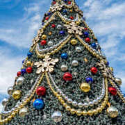 青山 はな 一足速いクリスマス? ミセス・レヴォアール～再会～