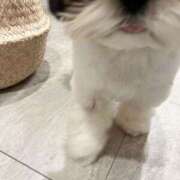 ヒメ日記 2025/12/09 10:13 投稿 青山 はな ミセス・レヴォアール～再会～