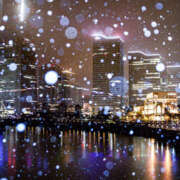 ヒメ日記 2026/02/08 10:36 投稿 青山 はな ミセス・レヴォアール～再会～