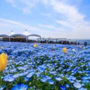 ヒメ日記 2026/04/23 10:09 投稿 青山 はな ミセス・レヴォアール～再会～