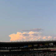 ヒメ日記 2026/08/20 10:25 投稿 青山 はな ミセス・レヴォアール～再会～