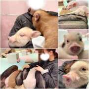 ヒメ日記 2025/09/06 09:24 投稿 ゆりあ あふたーすくーる本店