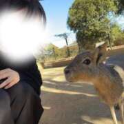 ヒメ日記 2025/09/14 10:01 投稿 ゆりあ あふたーすくーる本店