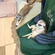 ヒメ日記 2025/09/22 09:06 投稿 ゆりあ あふたーすくーる本店