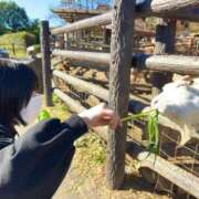 ヒメ日記 2025/10/06 09:22 投稿 ゆりあ あふたーすくーる本店