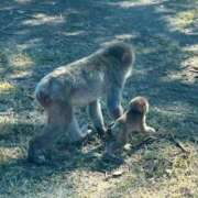 ヒメ日記 2025/10/22 09:12 投稿 ゆりあ あふたーすくーる本店