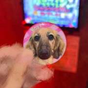 ヒメ日記 2025/10/27 16:04 投稿 ゆりあ あふたーすくーる本店