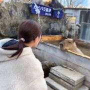 ヒメ日記 2025/11/21 07:31 投稿 ゆりあ あふたーすくーる本店