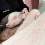 ヒメ日記 2025/12/07 07:43 投稿 ゆりあ あふたーすくーる本店