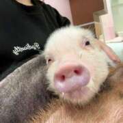 ヒメ日記 2025/12/07 15:21 投稿 ゆりあ あふたーすくーる本店