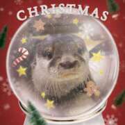 ヒメ日記 2025/12/22 17:17 投稿 ゆりあ あふたーすくーる本店