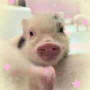 ゆりあ 🌸 あふたーすくーる本店