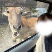 ヒメ日記 2026/01/12 22:48 投稿 ゆりあ あふたーすくーる本店