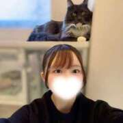 ヒメ日記 2026/03/22 16:34 投稿 ゆりあ あふたーすくーる本店