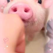 ヒメ日記 2026/07/16 22:00 投稿 ゆりあ あふたーすくーる本店