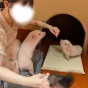 ヒメ日記 2026/07/25 19:48 投稿 ゆりあ あふたーすくーる本店