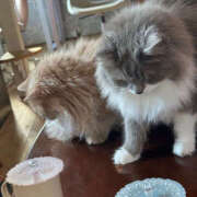 ヒメ日記 2025/09/03 14:51 投稿 なほ 野田デリヘル若妻淫乱倶楽部