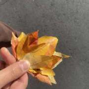 ヒメ日記 2025/08/12 17:31 投稿 なほ 若妻淫乱倶楽部　越谷店