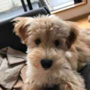 ヒメ日記 2025/08/31 03:51 投稿 なほ 若妻淫乱倶楽部　越谷店