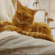 ヒメ日記 2025/09/03 09:02 投稿 なほ 若妻淫乱倶楽部　越谷店