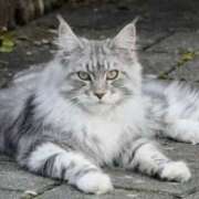 ヒメ日記 2025/09/21 20:11 投稿 なほ 若妻淫乱倶楽部　越谷店