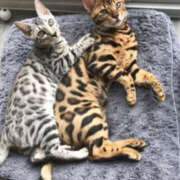 ヒメ日記 2025/08/28 22:32 投稿 なほ 若妻淫乱倶楽部