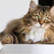 ヒメ日記 2025/08/30 16:21 投稿 なほ 若妻淫乱倶楽部