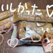 ヒメ日記 2025/11/01 15:31 投稿 なほ 若妻淫乱倶楽部