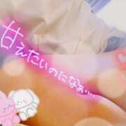 ヒメ日記 2026/02/07 11:31 投稿 なほ 若妻淫乱倶楽部