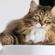 ヒメ日記 2025/08/30 16:12 投稿 なほ 若妻淫乱倶楽部 久喜店