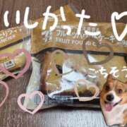 ヒメ日記 2025/11/01 15:23 投稿 なほ 若妻淫乱倶楽部 久喜店