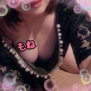 ヒメ日記 2025/08/19 11:46 投稿 もね BiBi