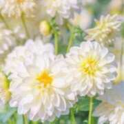 ヒメ日記 2025/08/06 06:02 投稿 つやか 熟女の風俗最終章 新宿店