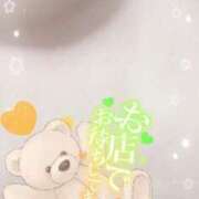 ヒメ日記 2025/08/26 10:11 投稿 新倉まな【OL委員会】 柏OL委員会