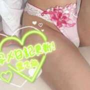 ヒメ日記 2025/10/31 16:40 投稿 新倉まな【OL委員会】 柏OL委員会