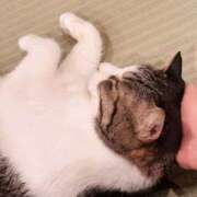 ヒメ日記 2025/09/29 22:29 投稿 はやて スピード日本橋店