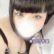 ヒメ日記 2025/08/09 08:19 投稿 ゆり 白いぽっちゃりさん五反田店